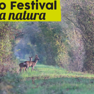 Fotofestival della Natura